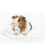Borduurpakket  cavia Rto m817 met telpatroon