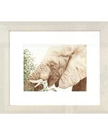 Etende olifant telpatroon lanarte