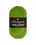 Scheepjes Chunky Monkey kl.2016 Fern