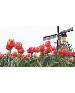 Thea Gouveneur borduurpakket tulpenveld met molen 473 telpatroon