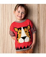 Breipakket tijgertrui van Phildar om te breien