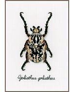 Vervco borduurpakket beige kever borduren pn-0165400 van La maison Victor