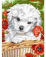 Voorbedrukt canvas/stramien tendresse hondje  om te borduren van Margot 72.2260