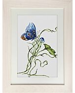 Borduurpakket Butterfly vlinders  om te borduren van Luca-s  b2242