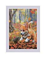 Riolis borduurpakket gekke eekhoorn 2302 telpatroon