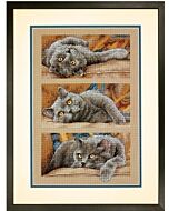 Dimensions borduurpakket Max de kat borduren 70-35301 met telpatroon