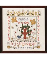 Borduurpakket  abc/123 nijntje pluis  van dick bruna 