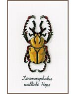 Borduurpakket Gouden kever om te borduren La maison Victor pn-0165220