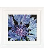 Borduurpakket korenbloem Thea Gouverneur 489 cornflower