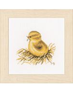 Borduurpakket  kuikentje (chick) Marjolein Bastin  aida