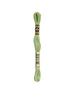 DMC Mouline Special 117 kl.164 licht groen
