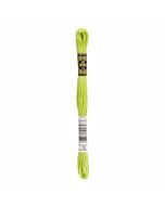 Borduurzijde DMC Mouline Special 117 kl.16 appelgroen
