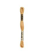 Borduurzijde DMC Mouline Special 117 kl.3827 licht bruin/goud