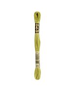 DMC Mouline Special 117 kl.472 licht groen
