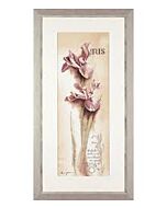 Borduurpakket iris
