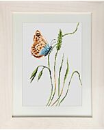 Borduurpakket Butterfly vlinders  om te borduren van Luca-s  b2244