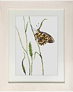 Borduurpakket Butterfly vlinders  om te borduren van Luca-s  b2245