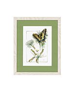 borduurpakket  van rups tot vlinder (from caterpillar to butterfly)