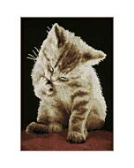 Vervaco borduurpakket Katje PN-0155780 telpatroon