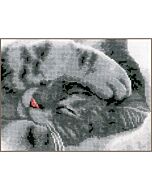 Borduurpakket Schattige kitten van Vervaco  