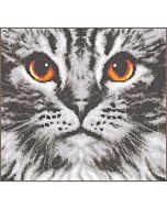 Vervaco borduurpakket kat close-up PN-0205401 telpatroon