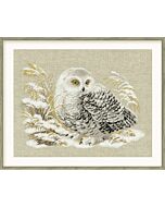 Riolis borduurpakket witte uil borduren 1241  met telpatroon 