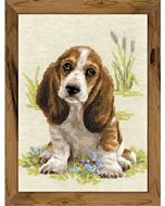 Borduurpakket Basset hond Puppy om te borduren van Riolis 
