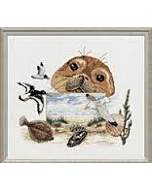  Borduurpakket zeehond van pako