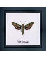 Thea Gouverneur Spurge Hawk mots 565a borduren