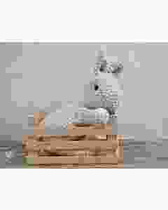 Gratis haakpatroon konijn van Durabele Velvet