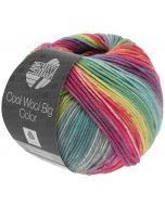 Cool Wool Big Color kl.4019