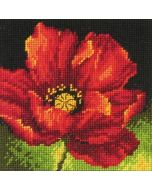 Borduurpakket red poppy om te borduren Dimensions voorbedrukt 71-07246