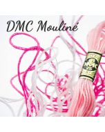 Borduurzijde DMC Mouline Special 117