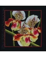Orchids Paphiopedilum  borduurpakket rto