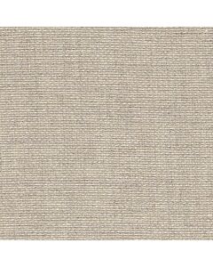 Borduurstof stern aida van  Zweigart  14ct  7011 zilver grijs 110 cm breed