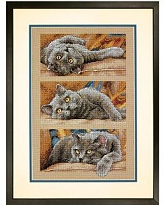 Dimensions borduurpakket Max de kat borduren 70-35301 met telpatroon