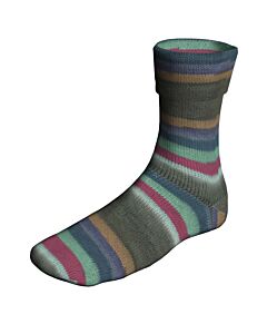 Lang Yarns Super Soxx Color kl.502 Sportysoxx (bruin/blauw/groen/mint/fuchsia/bordeaux) is een 4 draads sokkenwol