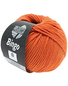 Lana Grossa Bingo kl.183