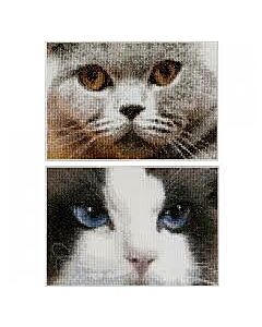  2 Borduurpakketten poezen  blu en smokey van Thea Gouverneur 542