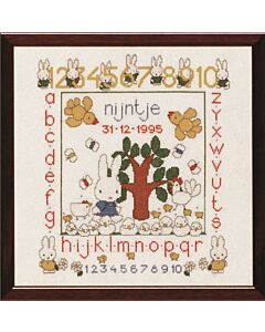 Borduurpakket  abc/123 nijntje pluis  van dick bruna 