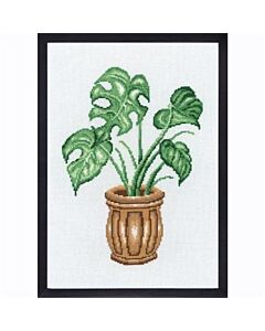 Borduurpakket Permin Monstera