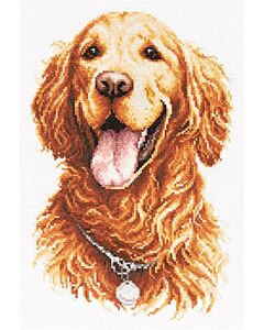 Magic Needle borduurpakket Golden Retriever 59-024 met telpatroon.