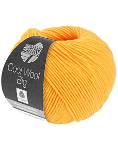  Cool Wool Big kl.995