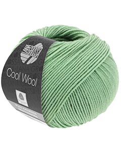 Cool Wool kl.2081