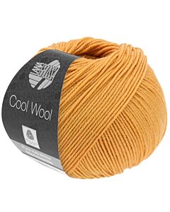 Cool Wool kl.2083