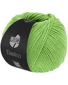 Lana Grossa Elastico kleur 193 (lichtgroen) 