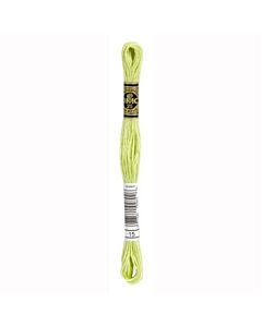 Borduurzijde DMC Mouline Special 117 kl.15 licht groen