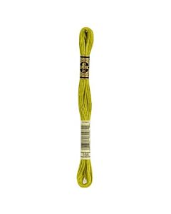 DMC Mouline Special 117 kl.166 mosgroen