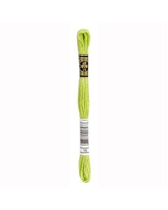 Borduurzijde DMC Mouline Special 117 kl.16 appelgroen