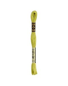 Borduurzijde DMC Mouline Special 117 kl.3819 licht mosgroen